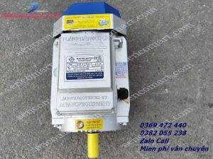 BÁN XẢ KHO mô tơ điện 220v 3kw 2900v/p Toàn Phát lõi đồng