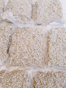 Khô cá cơm sữa/cá cơm ngần khô xuất khẩu loại 1 (đặc sản quê) - 200g