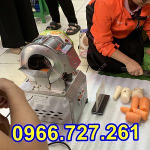 Máy thái sợi thái lát rau củ quả dùng cho nhà hàng loại chạy điện