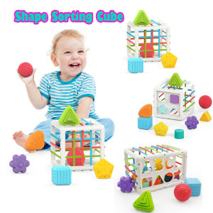 Hard ABS Shape Sorting Cube Colorful Texture Shape Block Sensory Shape Sorted Toys Stress Relief Anti-Anxiety Toxis Free Toys For Baby 3 Month And Above