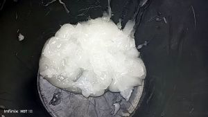 Bibit Semir Ban Gel Charismal: Keunggulan & Penggunaan