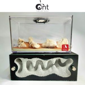 Handcrafted The Jumbo Crystal Cave Formicarium                                                                                                                                              - Ant Farm Ant Cages Ant Nest Ant Formicarium The Ant Shop 蚂蚁 蚁