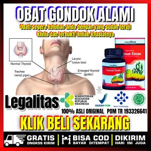 Obat Gondongan Anak Dewasa Gondok Alami Beracun Benjolan di Leher Sulit Menelan Nyeri Tenggorokan Batuk Nyeri Di area Leher Benjolan Lipoma Kelenjar Getah Bening Tiroid Hipertiroid Uci Uci Pengempis Penghilang Gondokan Bengkak GAMAT EMAS KAPSUL