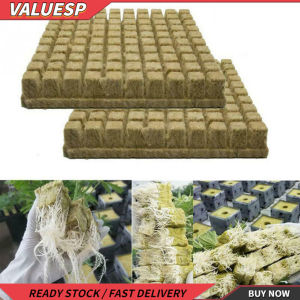 ราคาล่าสุด ก้อนเติบโตเริ่มต้นก้อนเสียบไฮโดรโพนิเติบโตสื่อโคลนชาวไร่ 10/42/72/100 ชิ้น คุณสมบัติและความสะดวกสบาย