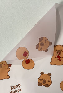 20 LEMBAR Kertas Buket Cellophone Karakter Carton Lucu Anak KB83