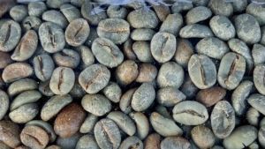 สารกาแฟดอยช้าง Honey  แบบยกกระสอบ  🍾🍯