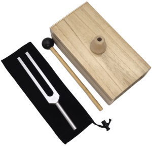 FUNG Acoustic Design Schumann Resonance Tuning Fork 432/528 HZ Frequency Sound Healing Resonance Percussion Instruments Percussion Instruments with Resonance Box Tuning Fork Resonance Teaching
