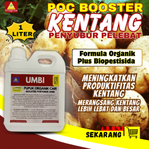 Pupuk Cair Pembesar Umbi Kentang  Pupuk Organik Penyubur Tanaman Kentang  Obat Kentang Pembesar Umbi