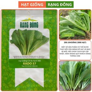 Hạt giống Cải Bẹ Xanh Mỡ RADO 57  Túi 20g(khoảng2000 hạt) Dễ trồng | Hạt giống Rạng Đông