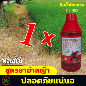 ยาฉีดหญ้าแรงๆ กำจัดหญ้าคันนา ยากำจัดวัชพืช200cc ไกลโฟเสตไอโซอะลานีน41% สารกำจัดวัชพืช ไม่งอกใน10ปี วัชพืชไม่มีอีก ยาฆ่าหญ้าในนา รุ่นเข้มข้น ยาฆ่าหญ้ากลูโฟซิเนต 1 ขวด ผสมน้ำ 18-20 ลิตร ผงกำจัดวัชพืช วัชพืชลบหมด ยาฆ่าหญ้าแบบผง ยาฆ่าหญ้า ยาฉีดหญ้า