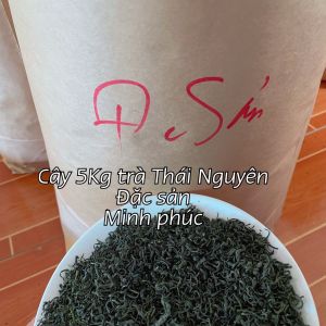 (Gía sỉ) 5KG TRÀ THÁI NGUYÊN ĐẶC SẢN-CÂY 5KG