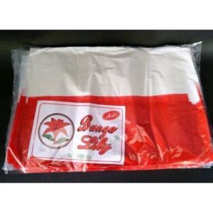 Bendera Merah Putih plastik + tali tinggal pasang