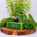 Obat Urtikaria, Obat Biduran, Bentol Bentol, Obat Gatal Biduran, Obat Biduran Menahun, Obat Kulit Gatal, Perdangan Kulit, Obat Gatal Seluruh Badan Dengan Minyak Sapu Jagat. 