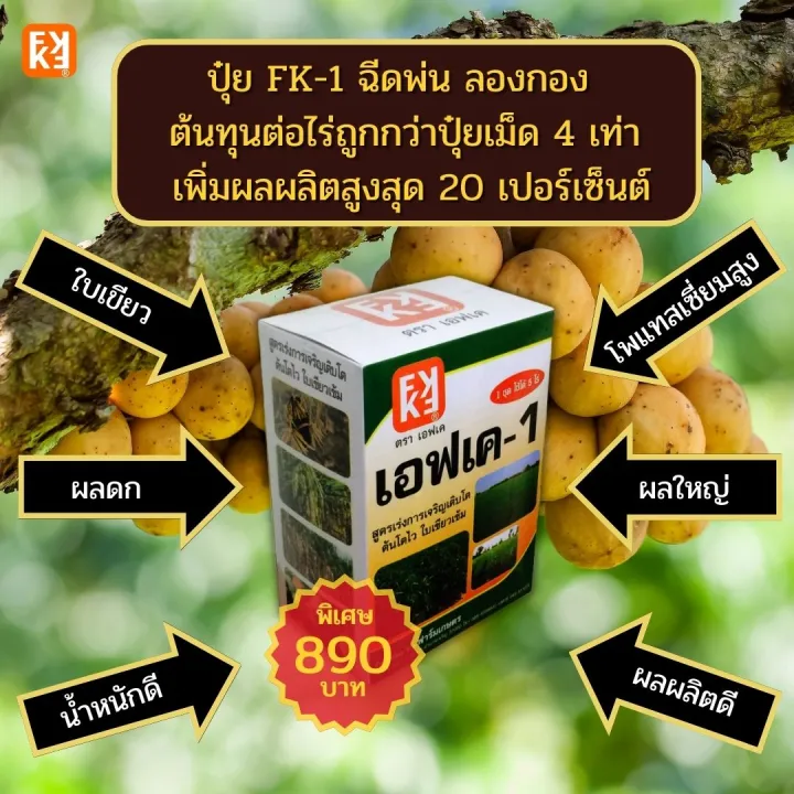 %E0%B8%9B%E0%B8%B8%E0%B9%8B%E0%B8%A2%20FK-1%20%E0%B8%89%E0%B8%B5%E0%B8%94%E0%B8%9E%E0%B9%88%E0%B8%99%20%E0%B8%A5%E0%B8%AD%E0%B8%87%E0%B8%81%E0%B8%AD%E0%B8%87%20%E0%B8%9C%E0%B8%A5%E0%B9%83%E0%B8%AB%E0%B8%8D%E0%B9%88%20%E0%B8%94%E0%B8%81%E0%B9%80%E0%B8%95%E0%B9%87%E0%B8%A1%E0%B8%95%E0%B9%89%E0%B8%99%20%E0%B8%99%E0%B9%89%E0%B8%B3%E0%B8%AB%E0%B8%99%E0%B8%B1%E0%B8%81%E0%B8%94%E0%B8%B5%20%E0%B8%95%E0%B9%89%E0%B8%99%E0%B8%97%E0%B8%B8%E0%B8%99%E0%B8%95%E0%B9%88%E0%B8%AD%E0%B9%84%E0%B8%A3%E0%B9%88%E0%B8%96%E0%B8%B9%E0%B8%81%E0%B8%81%E0%B8%A7%E0%B9%88%E0%B8%B2%E0%B8%9B%E0%B8%B8%E0%B9%8B%E0%B8%A2%E0%B9%80%E0%B8%A1%E0%B9%87%E0%B8%94%204%20%E0%B9%80%E0%B8%97%E0%B9%88%E0%B8%B2%20%E0%B9%80%E0%B8%9E%E0%B8%B4%E0%B9%88%E0%B8%A1%E0%B8%9C%E0%B8%A5%E0%B8%9C%E0%B8%A5%E0%B8%B4%E0%B8%95%E0%B8%AA%E0%B8%B9%E0%B8%87%E0%B8%AA%E0%B8%B8%E0%B8%94%2020%20%E0%B9%80%E0%B8%9B%E0%B8%AD%E0%B8%A3%E0%B9%8C%E0%B9%80%E0%B8%8B%E0%B9%87%E0%B8%99%E0%B8%95%E0%B9%8C%20-%20Image%202