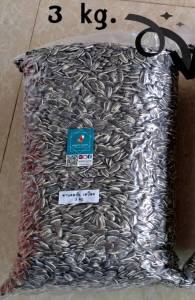 ทานตะวันAป้อม (เมล็ดใหญ่) 500g1kg.3kg.4kg.5kg. สำหรับนกแก้วปากขอ เกรดA สำหรับสัตว์ฟันแทะ นก หนู