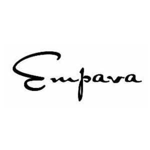 Cooktop Induction with Magnetic cookware Domino Model Electrical Efficient 2 zone Hob EMPAVA 30cm Built In AMAZON CHOICE