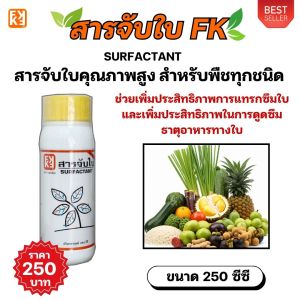 ปุ๋ยสำหรับต้นมันสำปะหลัง ฮิวมิค FK สูตรเข้มข้น เพื่อดินดี ต้นโตไว ใบเขียว รากแข็งแรง เพิ่มผลผลิตพืช