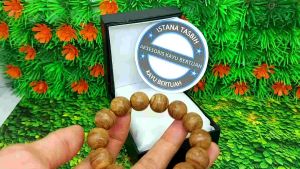 Gelang Kayu Gaharu TGA Terbaru: Desain Unik & Alami
