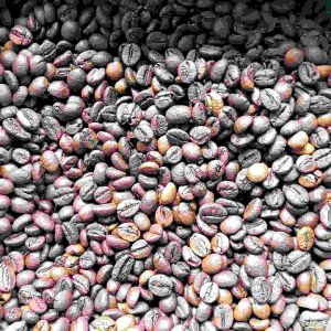 10kg cafe Robusta nguyên chất Ban Mê Thuột