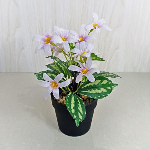 Azgalery PBP179 Tanaman Hias Pot Bunga Plastik Artificial Ornamen Pajangan Dekorasi Rumah Buatan COD