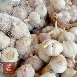 ไซส์ใหญ่ กระเทียม (คัดพิเศษ) ❌️ ฝ่อและขึ้นรา ราคาประหยัด