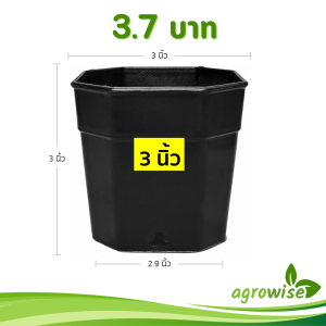 กระถาง กระถางแคคตัส กระถางแปดเหลี่ยม 3 นิ้ว สีดำ Bundle 100 ใบ ชิ้น อัน