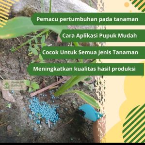 Pupuk Bunga NPK 16-16-16 Mutiara Biru repack 20Gram  50gram Untuk Tanaman