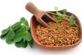 Biji Halba 250gr | Fenugreek Seed Kelabat Hulbah | Methi [ORIGINAL]. 