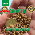 grower TATEH Aquafeeds 5 KILO Tilapia, Hito, Bangus, Koi ETC.. 