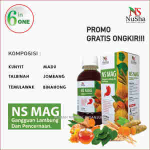 Rumah Herbal Ciganjur Obat Herbal Asam Lambung NS MAG MADU ASAM LAMBUNG MADU MAAG NUSHA MADU GERD MADU GANGGUAN LAMBUNG MADU PENCERNAAN 280GR