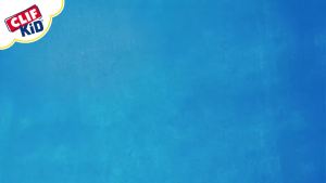 Zbar - Chocolate Chip - Soft Baked Snack Bars - Non-GMO - 11g Whole Grains - USDA Organic Granola Bars (24 Pack)