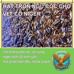 (1Kg) -TinyNest- Hạt Trộn Cho Vẹt Sun Cock GC Prl Ngực Hồng… Có NIGER Kích Cồ Sinh Sản Mạnh Mẽ Cường Tráng