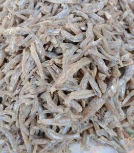 Ikan Teri Asin Murah 1kg.500gram.250gram