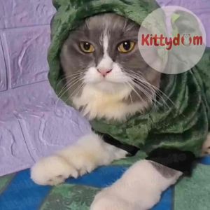 KITTYDOM Jaket Hoodie Baju Kostum Hewan Model Dinosaurus Baju Kucing Anjing Cat Kitten Puppy Kelinci Cat Dog Pet Clothes