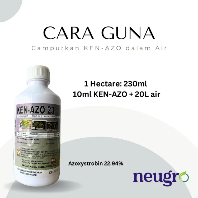 Egri mushuk bilan porno