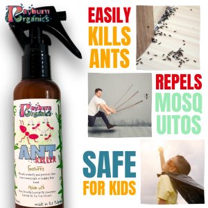 Ant Killer and Mosquito Repellant in one by Rayburn Organics