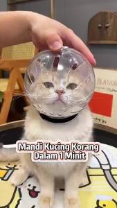 Grooming Gloves  Shower Gloves Cleaning Gloves Wet Tissue Bath Sarung Tangan Pakai Buang Kucing