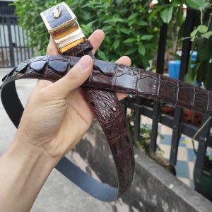 Thắt Lưng Da Cá Sấu Liền Nguyên Tấm Lưng [DÂY CÓ GÙ GAI CÁ SẤU RẤT ĐẸP]