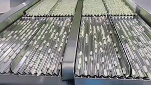 Hot-selling Mixture Promotes Brain Health Supplement Capsules   Nutritional Products Containing Fatty Acids Factory Direct Hair