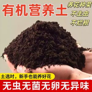 Tanah organik untuk tanaman succulent soil garden soil organic soil for plant potting mix soil 多肉泥土富貴 花 泥土种菜种花种植土黑土营养土通用型有机家用养花种菜多肉绿萝种植土壤自发酵专用土