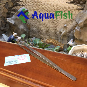 Kẹp Nhíp Trồng Cây Thủy Sinh Cho Bể Cá Dài 30cm