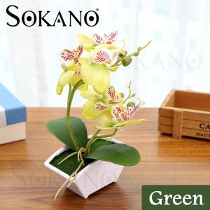 SOKANO Butterfly Orchid with Flowerpot Potted Artificial Plant Home Garden Office Decoration Home Deco Decorative Plant for AirBnB House Office Café and Restaurant