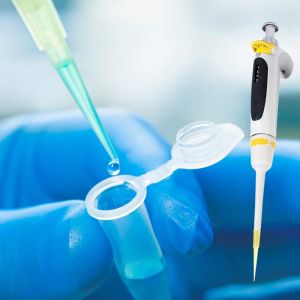 [COD] 500 / 1000PCs/Bag 10ul / 200ul / 1ml Pipette Gilson Tip Pipette Tips