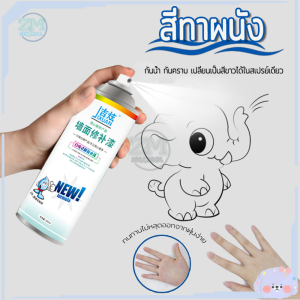 สีขาว ทาบ้าน ซ่อมผนัง รูปแบบ สีทาฝ้าเพดาน สีกระป๋อง สีทาบ้าน สีทาห้องนอน สีทาบ้านในห้อง สีทาภายใน