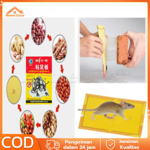 Lem Perangkap Tikus Model Buku Alat Papan Lem Jebakan Tikus Kuat Super Duper Lengket