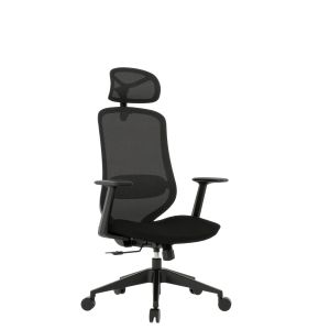 IJI Executive Chair Model: IJI-EY380.SW Mesh Back and Seat Adjustable Lumbar Support 3D Lifting Headrest Molded Foam Seat Fixed PP Armrest Class 3 Gas Lift Reinforced Nylon Castors