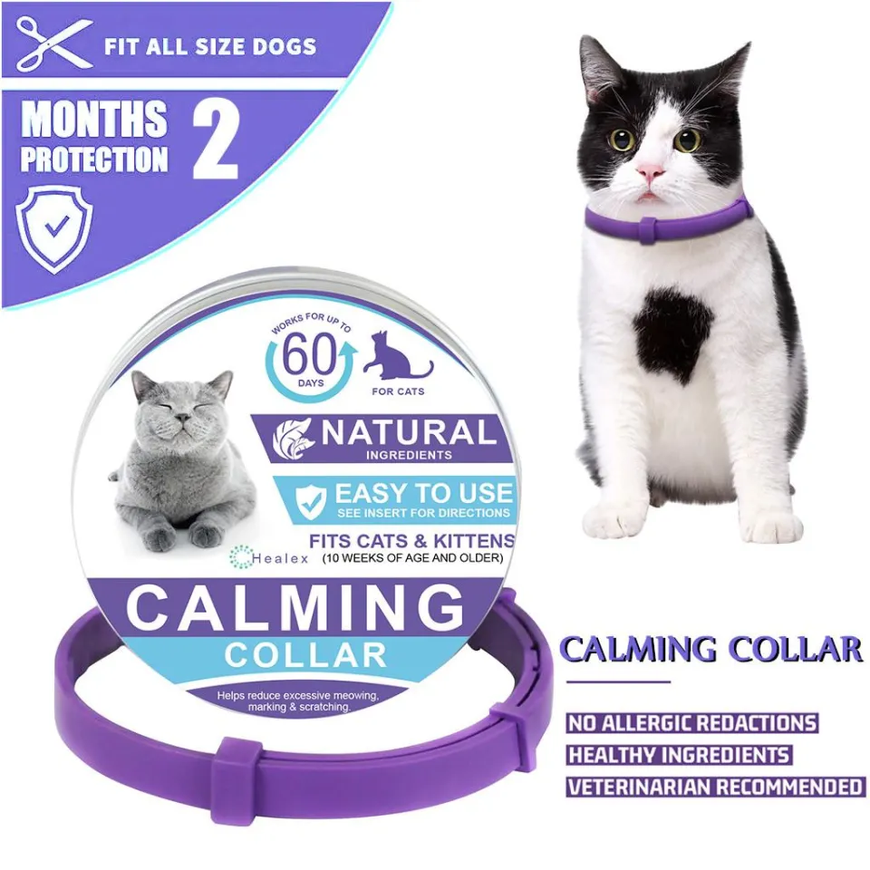 DY Loving Effective Safe Calming Collar For Cats Dogs Adjustable Anxiety Pheromone Reducing Pet Collar Lasting Natural Calm 2 Month Protection Cat Calming Collar Lazada PH