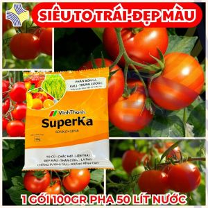 SUPERKA KALI TRUNG LƯỢNG 50%K₂O+18%S | Dưỡng Trái Cà Chua – Đỏ Tươi – Bóng Đẹp – Dai Cuống – Giảm Nứt Thối Đáy – Nhập Khẩu Châu Âu – Gói 100G