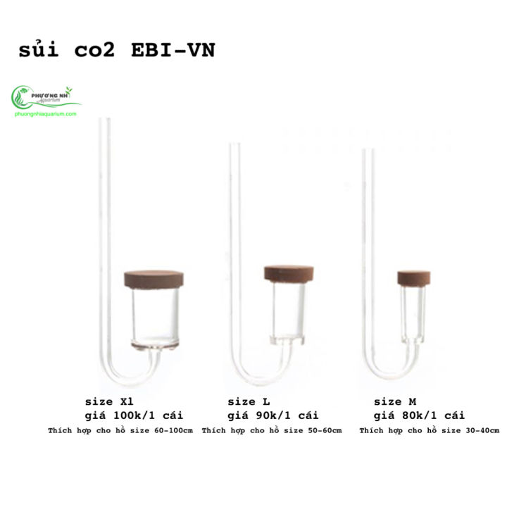 S%E1%BB%A7i%20CO2%20ebi%20-%20Image%201