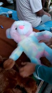 Tas Ransel Motif beruang tedy bear bulu lucu imut gemoy Ransel Wanita Baru Boneka Mewah Kasual Kartun Beruang